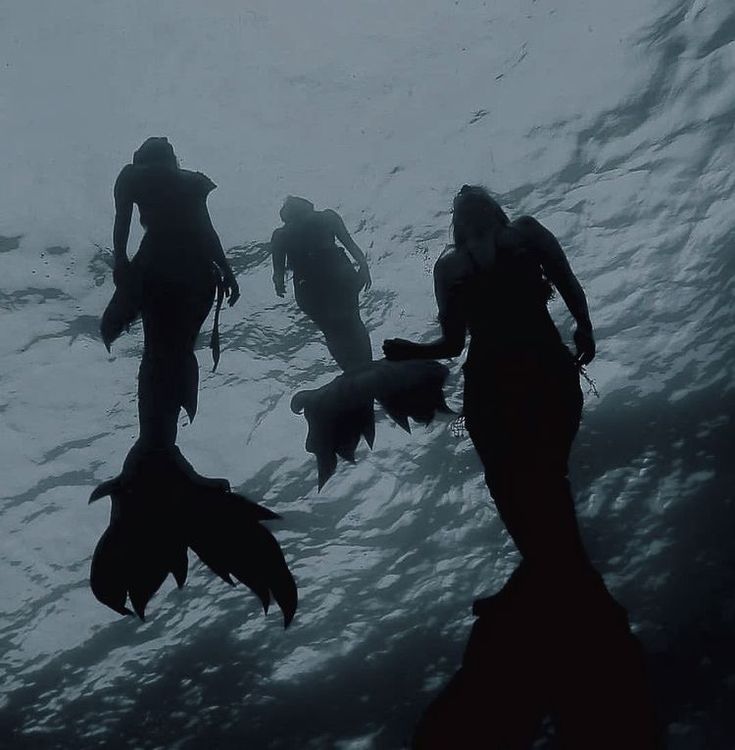 silhouettes of people swimming in the ocean with fish on their backs and one man holding onto his leg