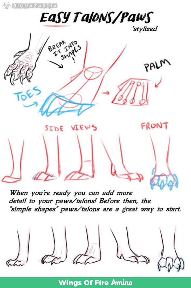 how to draw hands and feet with easy steps step by step instructions for beginners