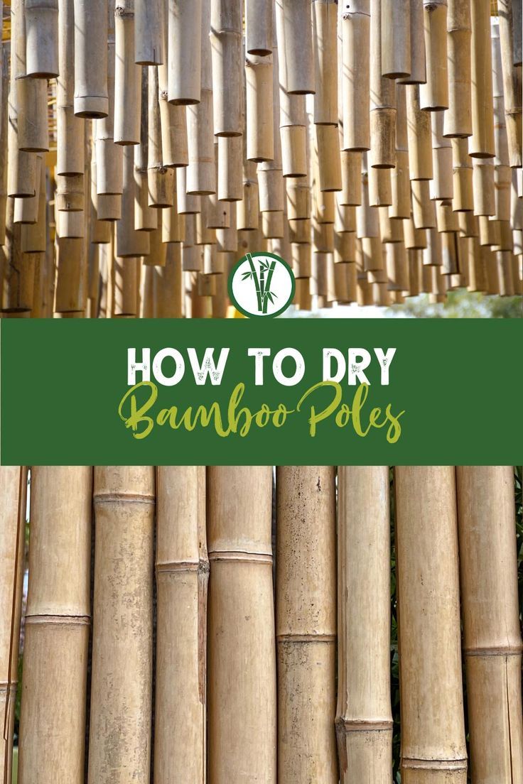 Drying bamboo stems hanging and standing with the text: How To Dry Bamboo Poles Bamboo Furniture Outdoor, Bamboo Art Diy, Bamboo Garden Fences, Diy Bamboo, Bamboo Diy, Growing Bamboo, Bamboo Privacy, Bamboo Room Divider, Bamboo House Design