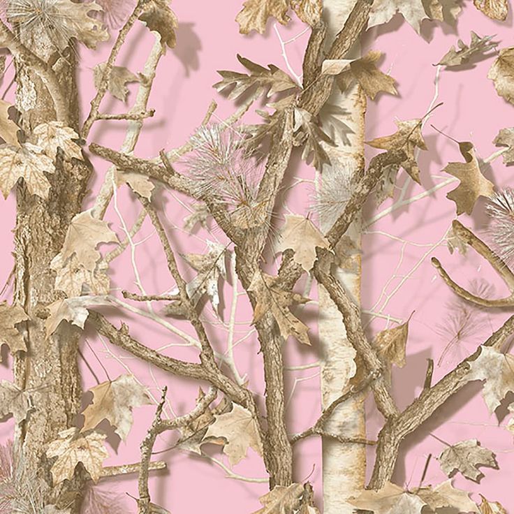 a pink wall with leaves and branches on it