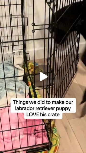 a dog in a cage with the caption that reads, things we did to make our labrador retriever puppy love his crate