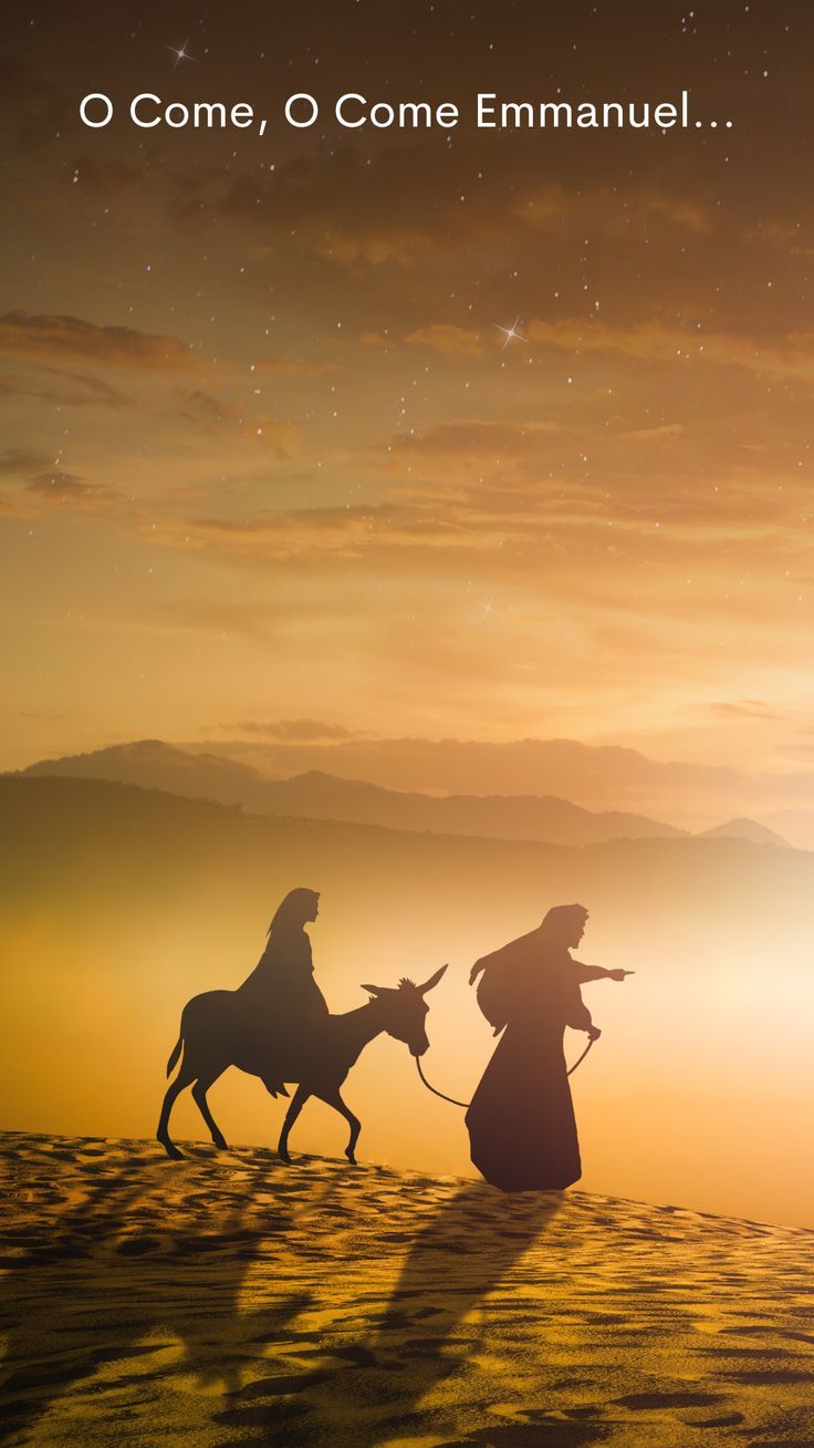 the silhouette of two people on horses in front of a sunset with stars above them