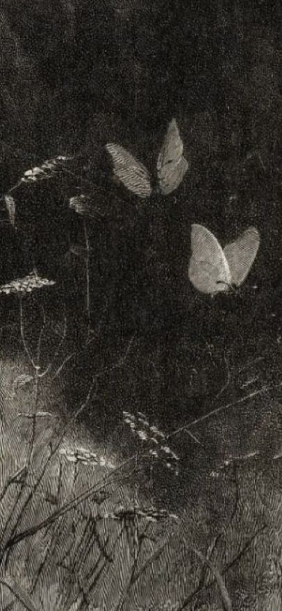 three butterflies are flying in the air above some plants and grass, while another butterfly is on the ground