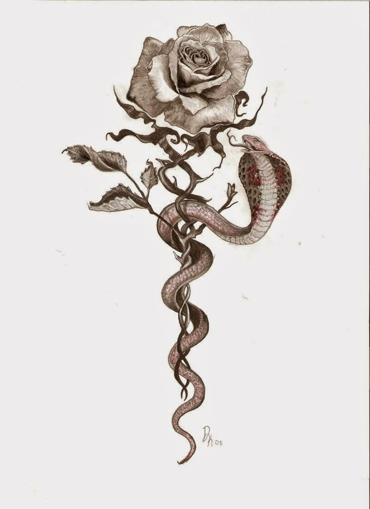 a drawing of a snake and rose