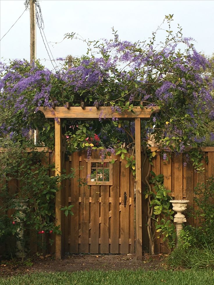 a wooden gate with purple flowers growing over it