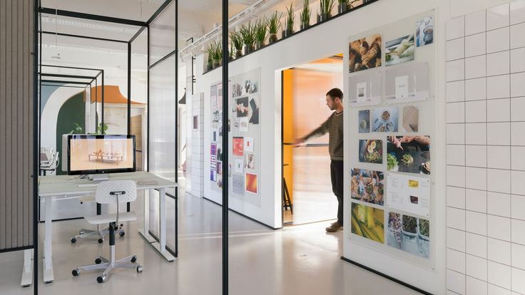 an office with white walls and plants on the shelves