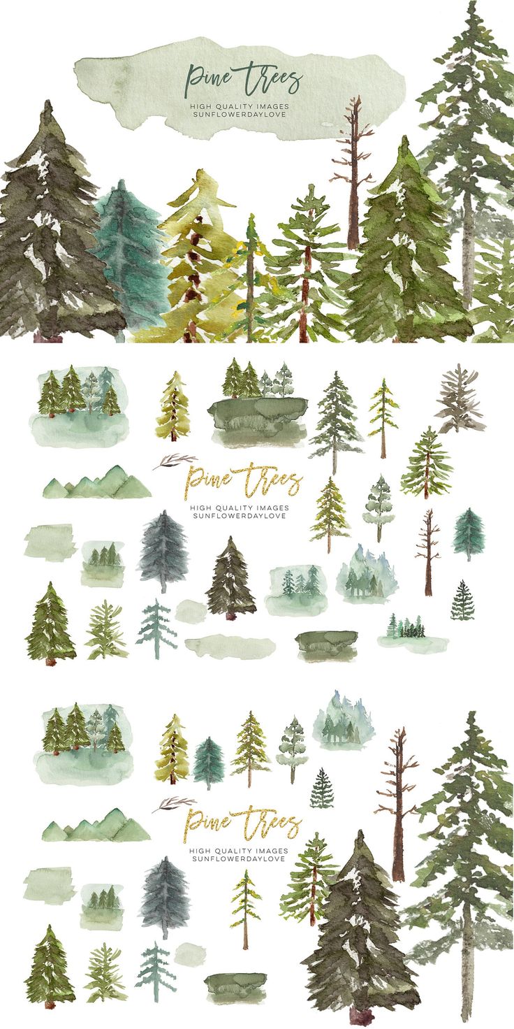 watercolor trees are shown in different colors and sizes, with the words pine trees below them