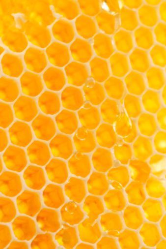 some yellow honeycombs with water droplets on them