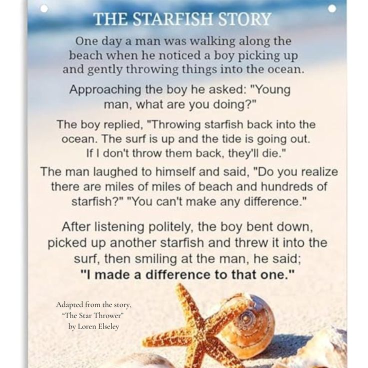 the starfish story is written in an ocean scene with seashells and sand