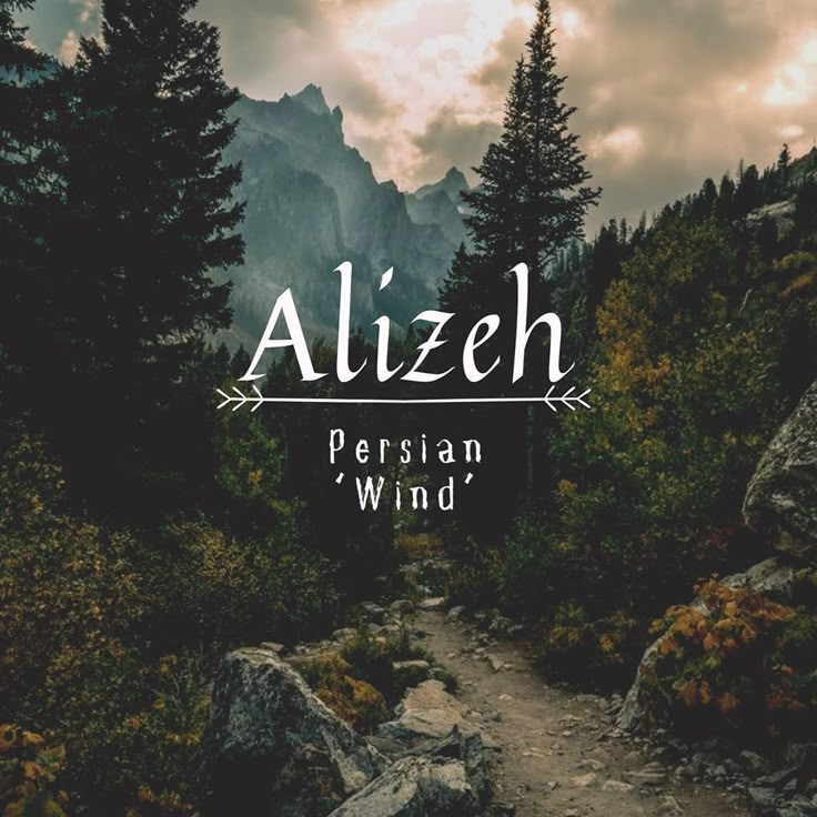 the words alzeh persian wind are in front of some trees and rocks with mountains in the background