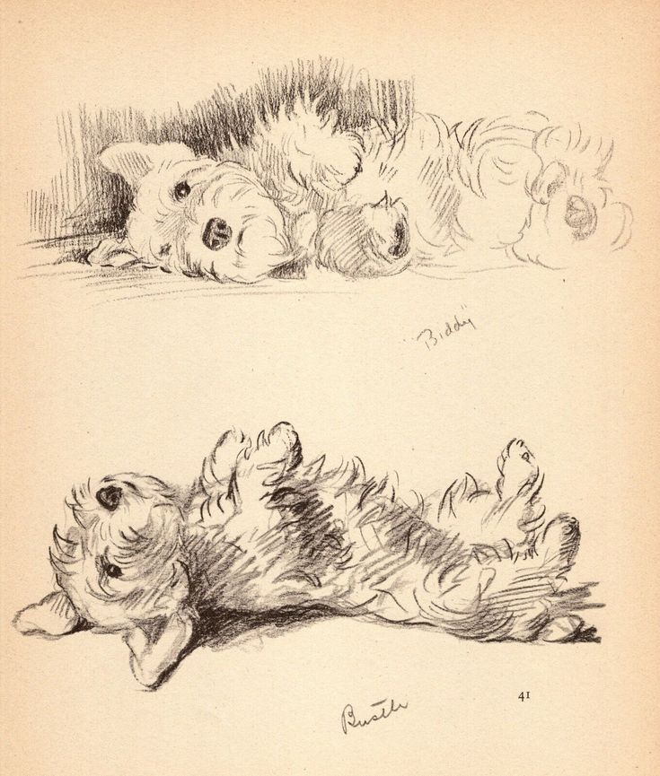 two drawings of teddy bears laying on the ground and one lying down with its eyes closed