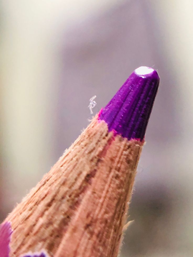 a close up view of a purple pencil