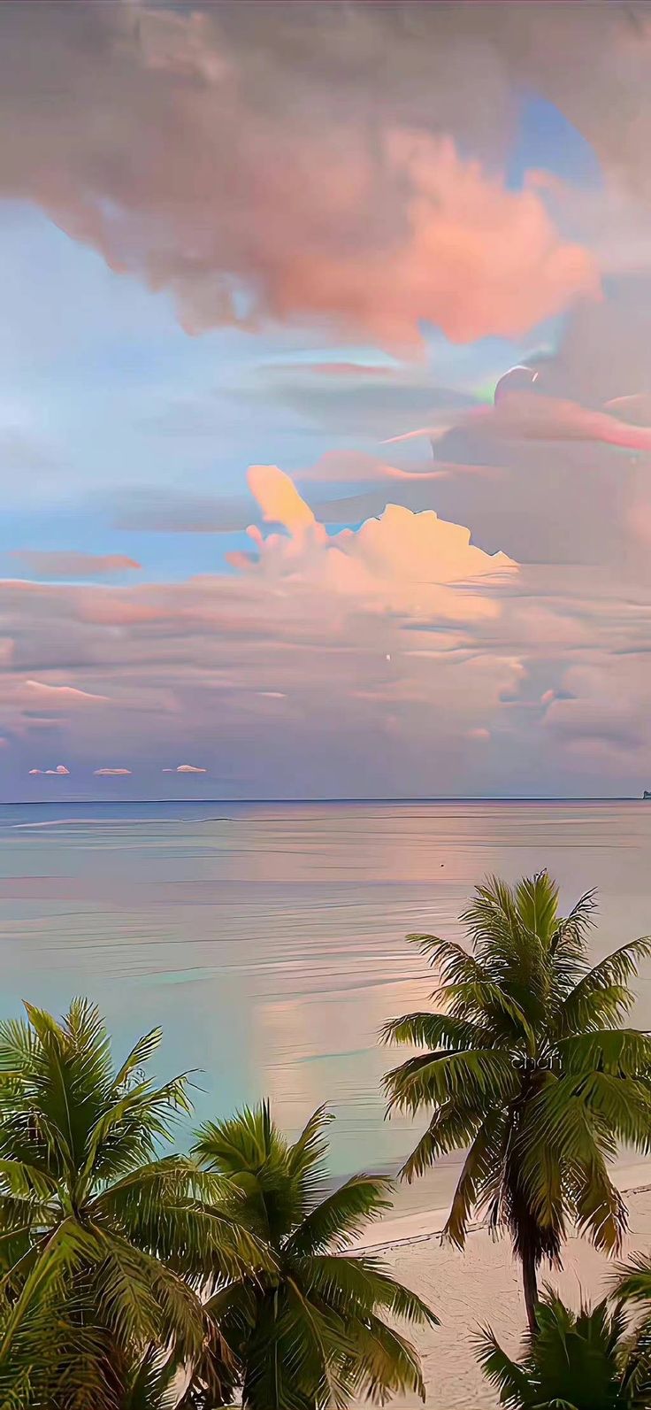 palm trees and the ocean under a colorful sky with clouds in the background at sunset