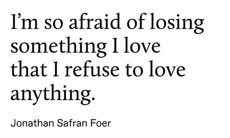 a quote that says i'm so afraid of losing something i love that i refuse to love anything