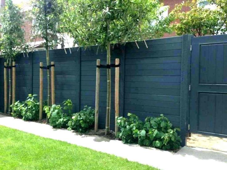 a row of trees next to a fence with plants growing on it in front of the fence