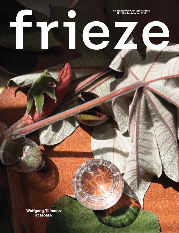 the front cover of frieze magazine with leaves and other things on it's table