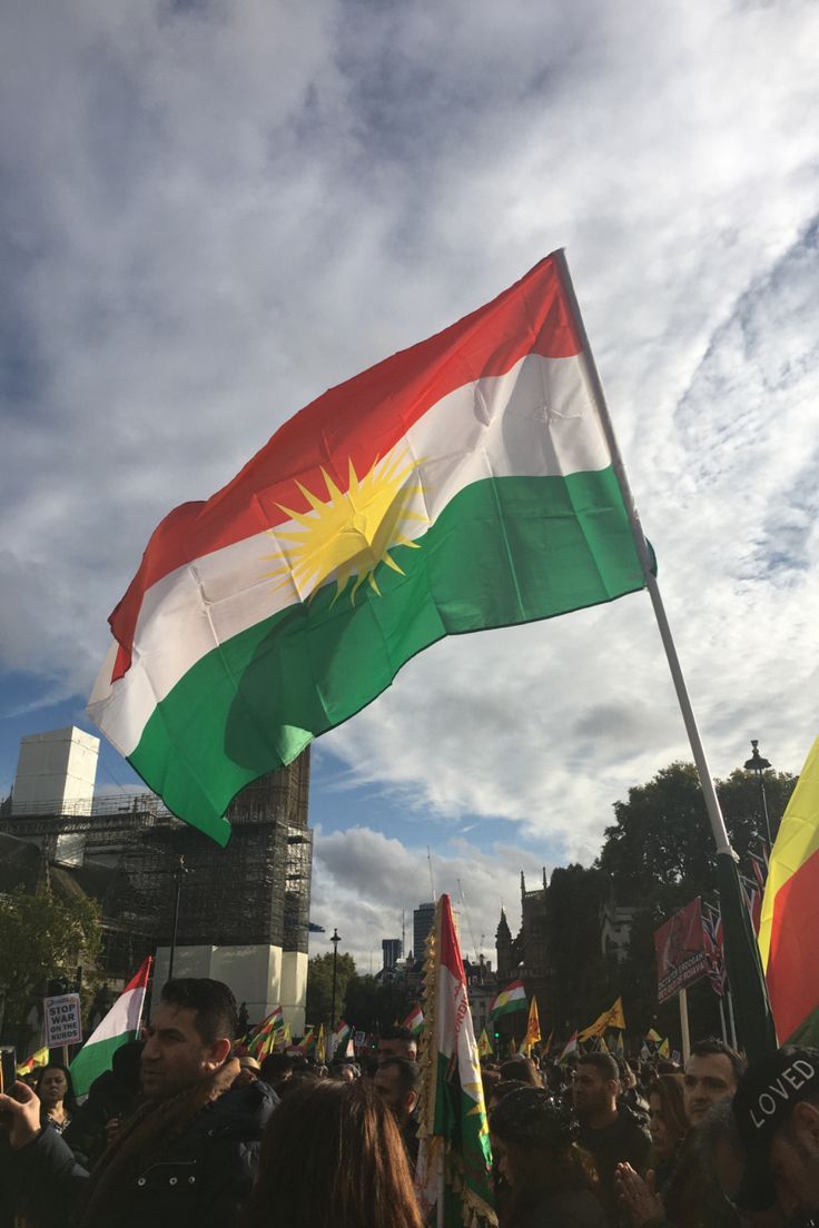 many people are holding flags in the air