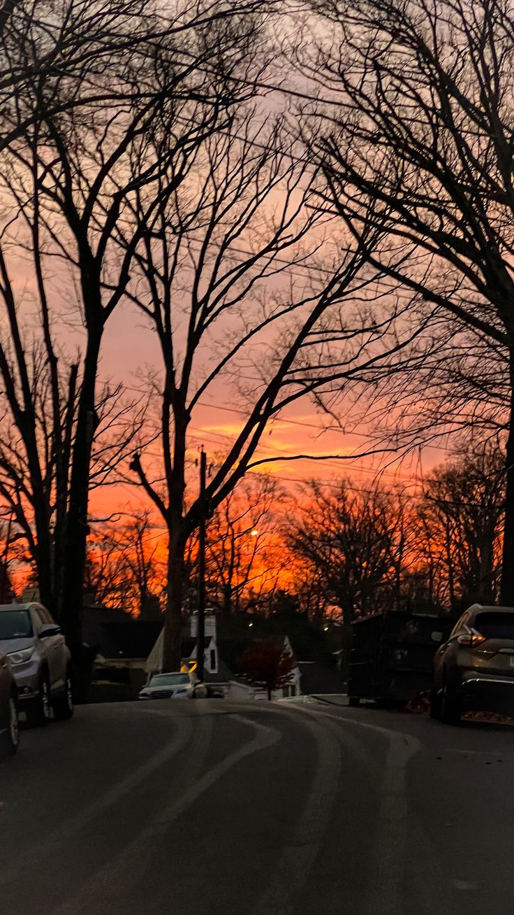 the sun is setting behind some trees and parked cars on the side of the road