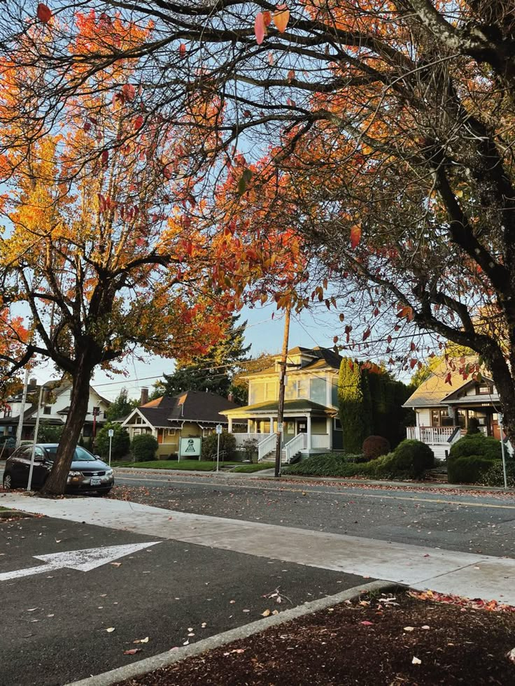 an empty street with houses and trees in the fall