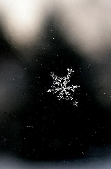 a snowflake is seen through the frosted window