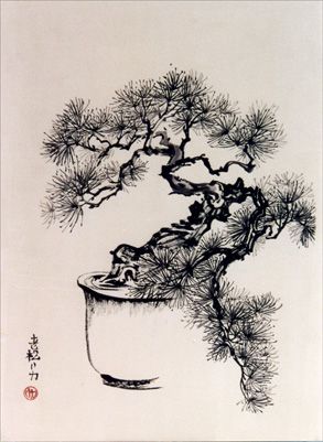 an ink drawing of a bonsai tree in a teacup with writing on it