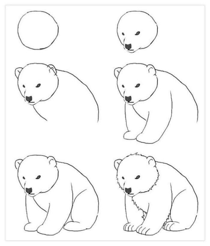 four polar bears are shown in three different positions