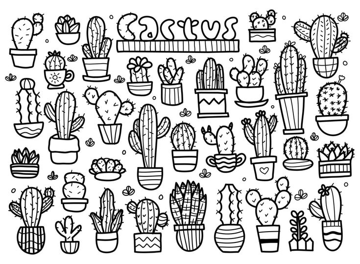 cactuses and succulents are drawn in black ink on a white background