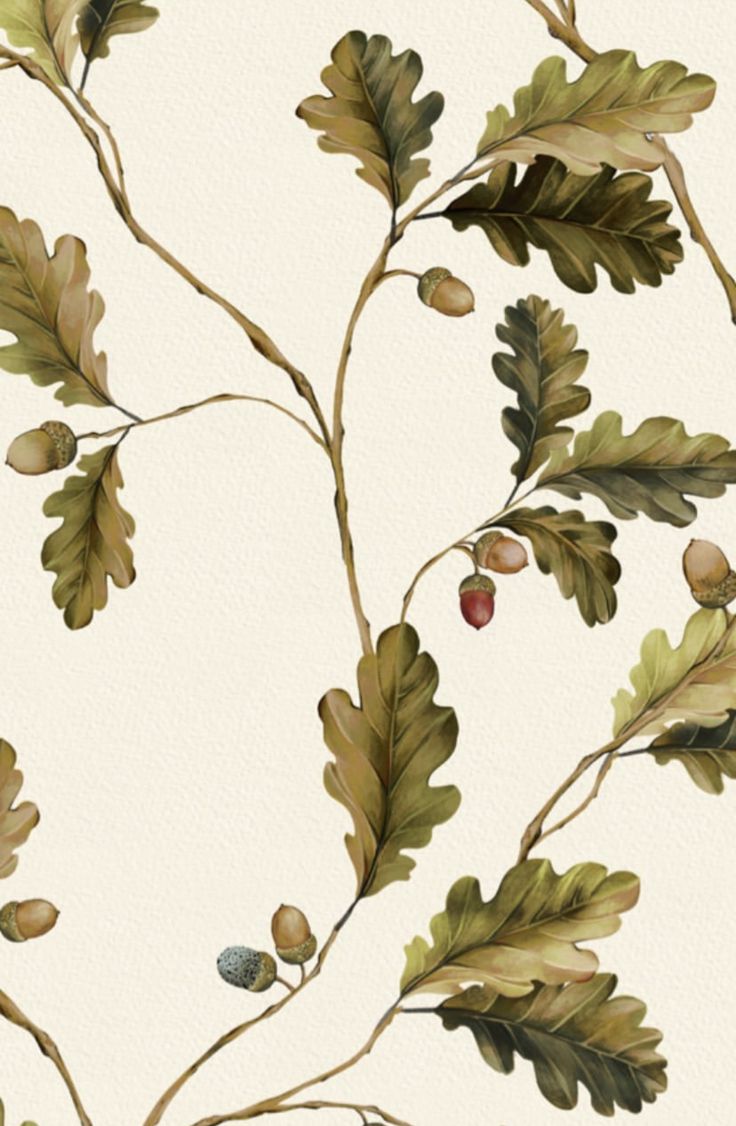 an artistic painting of leaves and acorns on a white wallpaper background with neutral colors