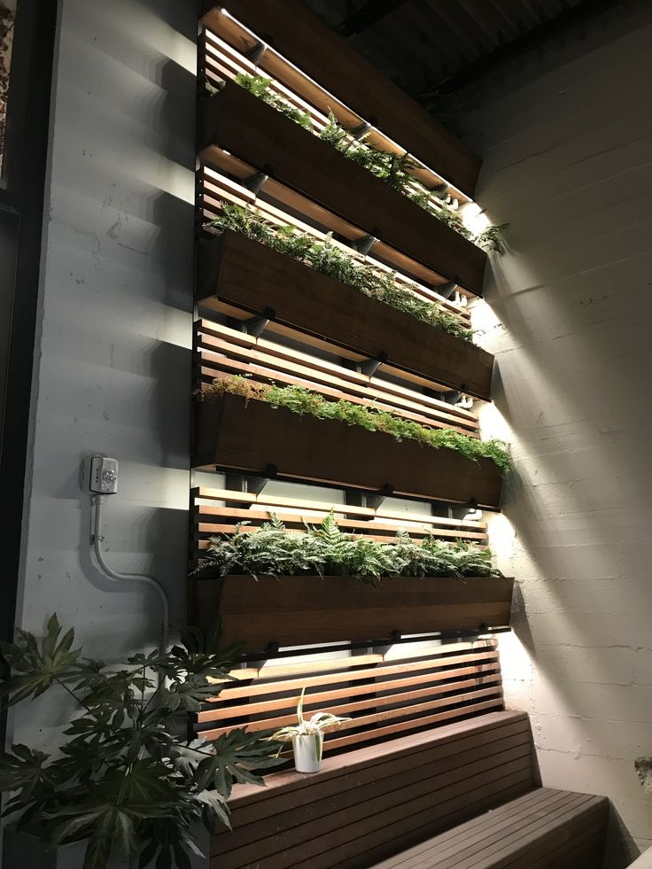 a wooden bench sitting next to a wall mounted planter filled with succulents