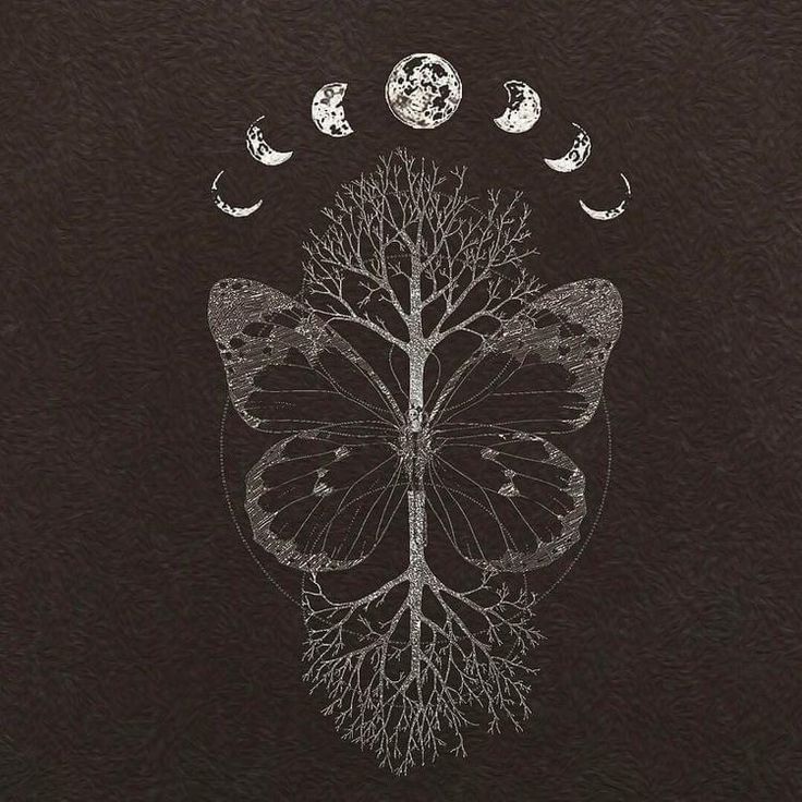 a drawing of a butterfly with trees and moon phases in the background, on black paper