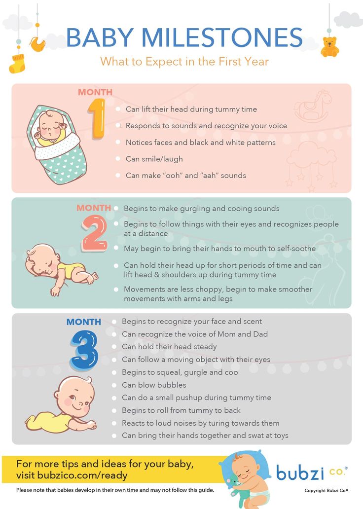 the baby info sheet shows how to expect in the first year, and what you can do