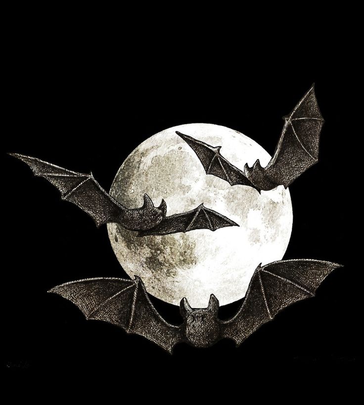 two bats flying in front of the moon with black and white metal print on it