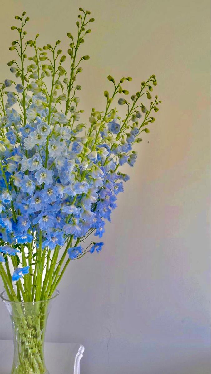 a glass vase filled with blue flowers on top of a table