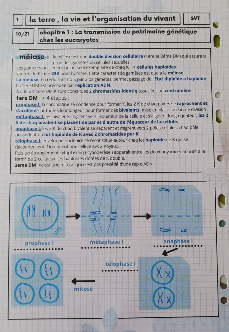 the instructions on how to use an electronic device