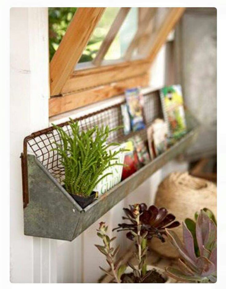 a metal shelf with plants and books in it on the side of a door way