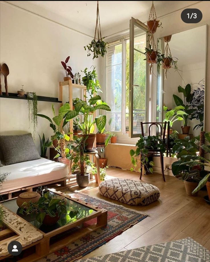 a living room filled with lots of plants and furniture