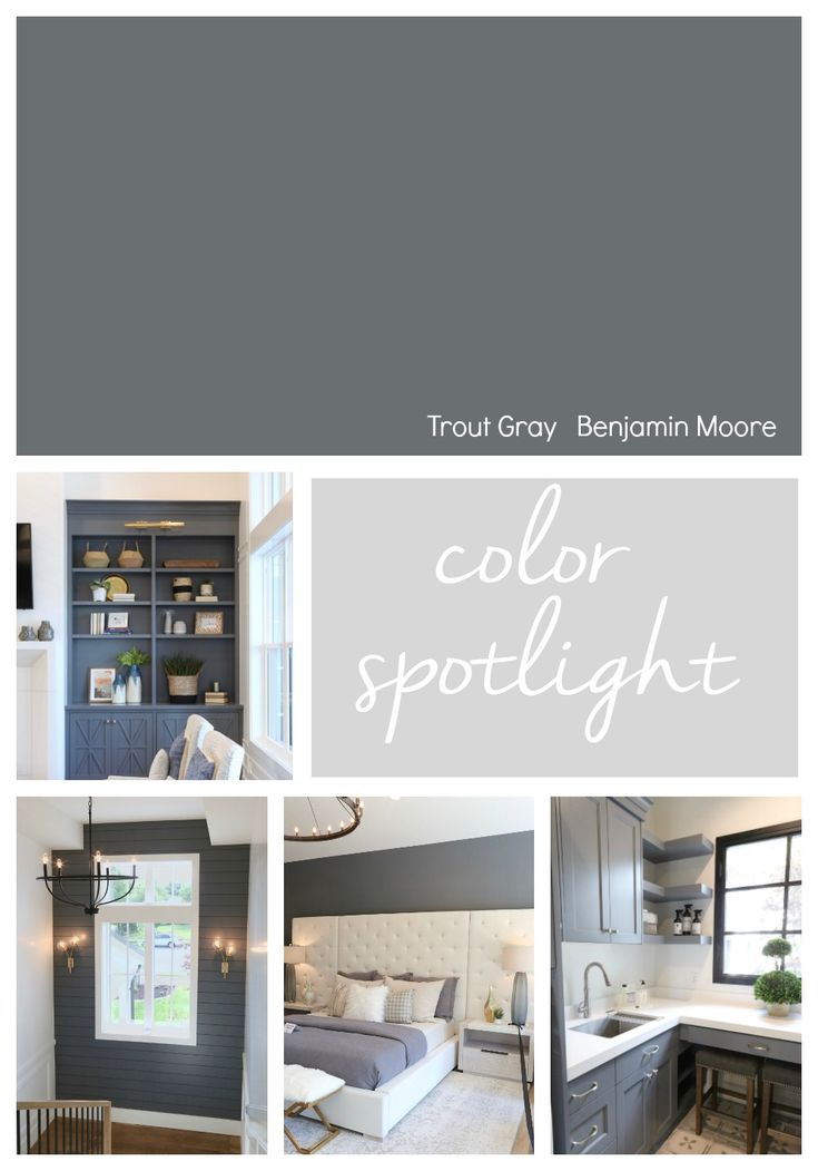 the color spotlight is shown in gray and white