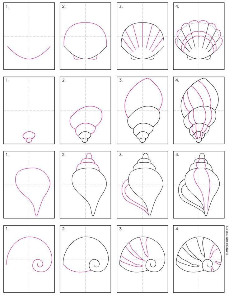 how to draw seashells step by step