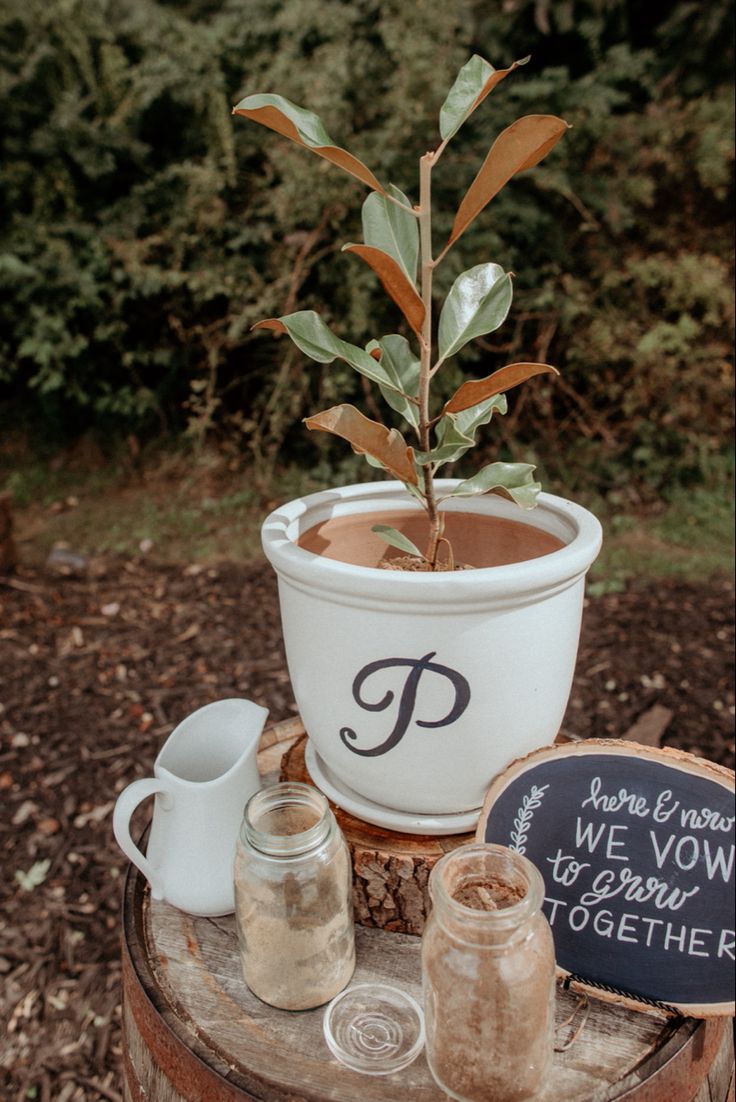 a potted plant sitting on top of a tree stump next to two glasses and a chalkboard