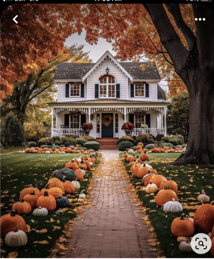 a house with lots of pumpkins on the ground in front of it and trees