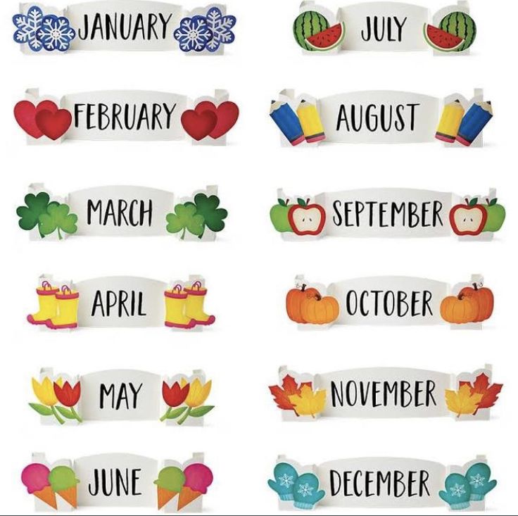 months of the year magnets are shown