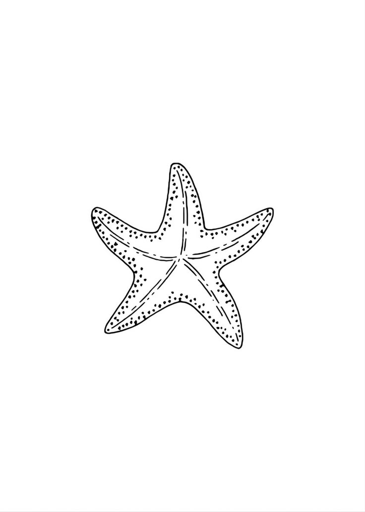 a starfish is drawn in blue ink on a white background