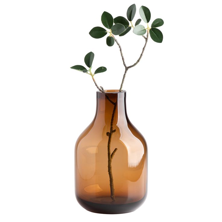 a vase with a plant in it on a white background