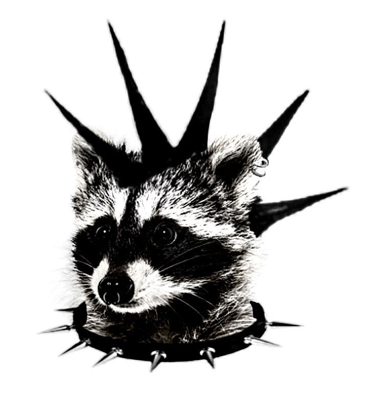 a drawing of a raccoon with spikes on it's head