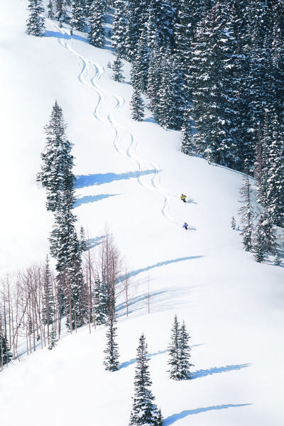 a person riding skis down the side of a snow covered slope next to trees