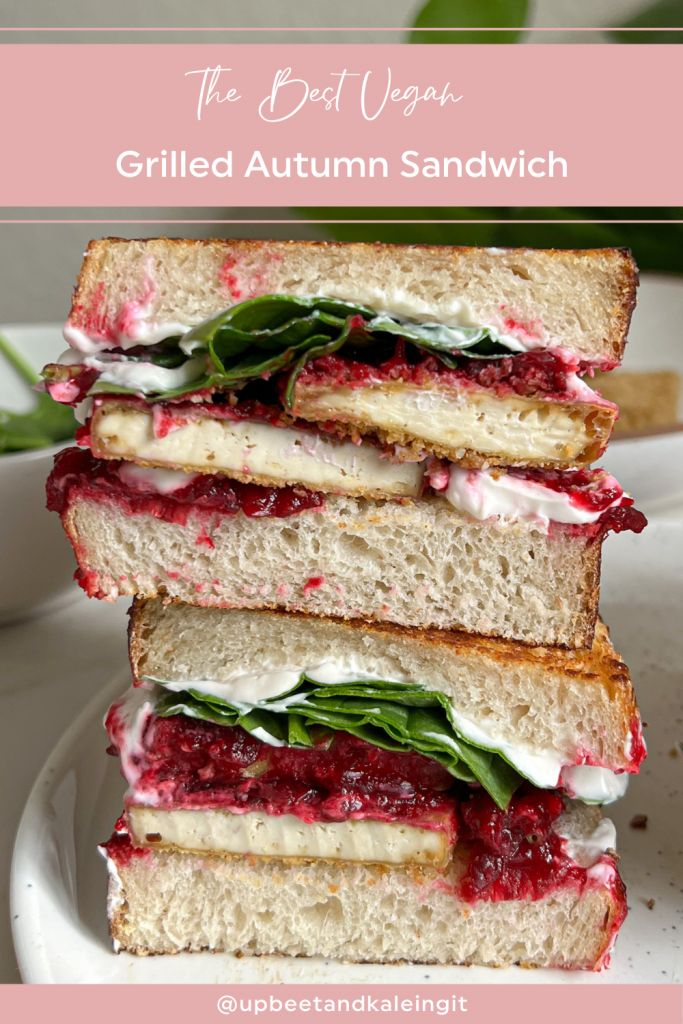 the best vegan grilled autumn sandwich recipe with spinach and cranberry sauce