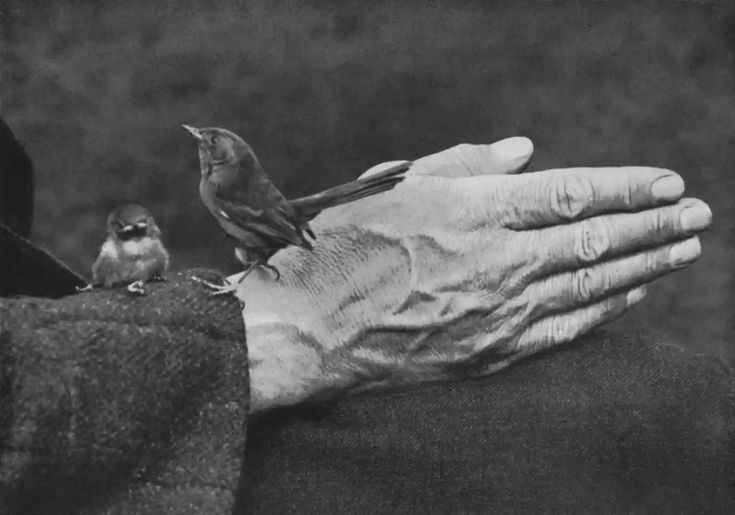 an old woman holding a small bird on her arm while another person holds it in their hand