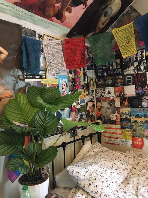 there is a bed with many pictures on the wall and a potted plant next to it