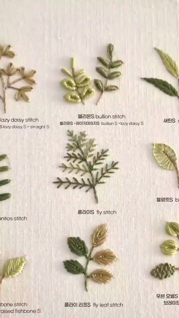 the different types of leaves are shown in this image, and each one has its own name on it