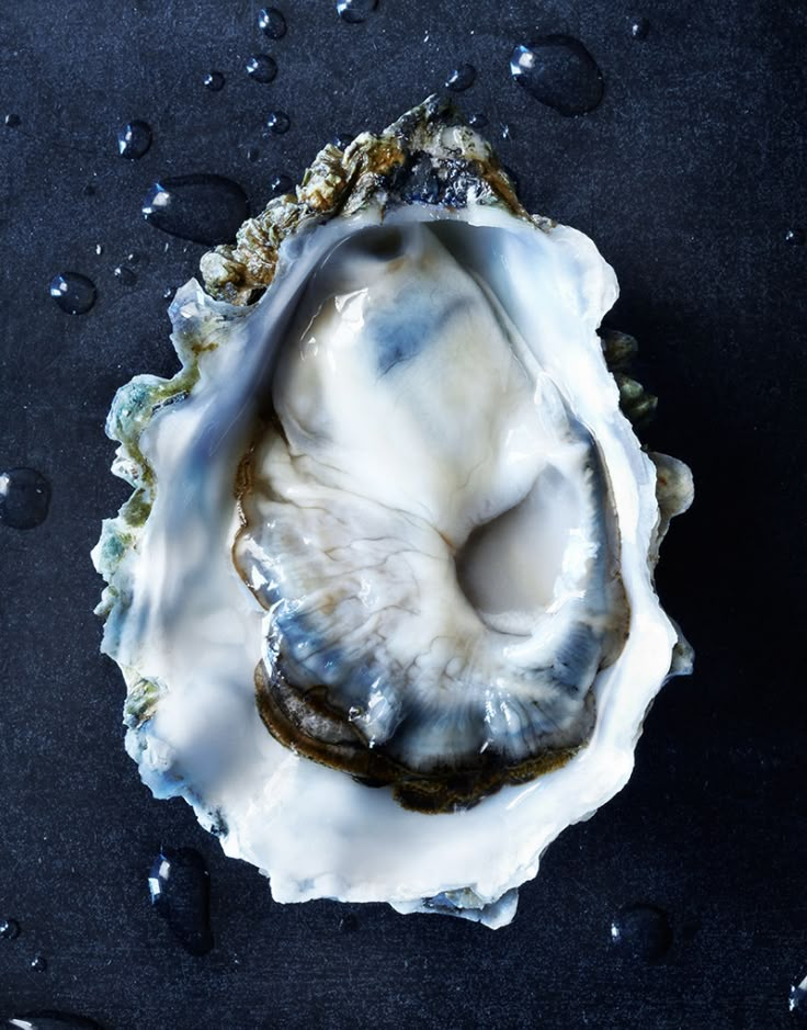 an open oyster shell on a black surface